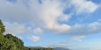 Exploring Vanuatu’s Vibrant Seascape in Support of Ocean Protection