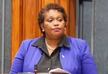 Fiji moves to secure more Tuna supply for PAFCO, says Fisheries Minister Bainivalu