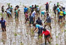 Cabinet approves Fiji’s third climate commitment to strengthen global action under Paris Agreement