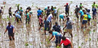 Cabinet approves Fiji’s third climate commitment to strengthen global action under Paris Agreement