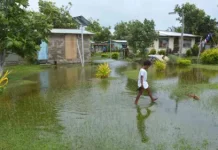 Climate Investment Funds endorses US$27 million to boost resilience through nature in Fiji, a vulnerable island state