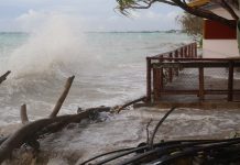 COP climate talks are ‘heartbreak’ for Pacific Islands. Here is why they want to host them