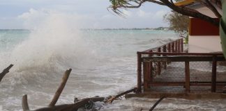 COP climate talks are ‘heartbreak’ for Pacific Islands. Here is why they want to host them