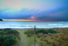 Māori ocean rights under threat: Why Pasifika should be paying attention