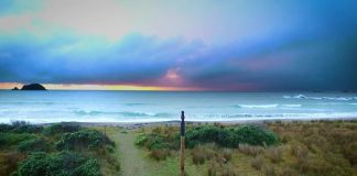 Māori ocean rights under threat: Why Pasifika should be paying attention