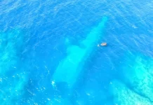 NZDF marks one year since HMNZS Manawanui sinking, pays SAT10 million to Samoa