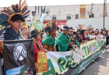 Pacific Islanders march in Belém alongside thousands for climate action