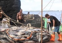 Fair seas ahead: FFA and ILO join forces to improve working conditions for Pacific fishers
