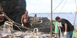 Fair seas ahead: FFA and ILO join forces to improve working conditions for Pacific fishers
