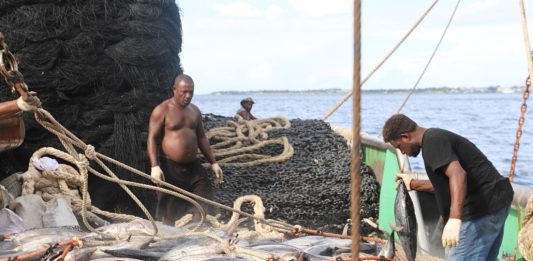 Fair seas ahead: FFA and ILO join forces to improve working conditions for Pacific fishers