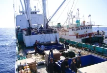 “My job is to listen and facilitate” as transshipment fight looms at Manila talks: WCPFC Chair