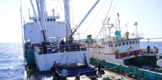 “My job is to listen and facilitate” as transshipment fight looms at Manila talks: WCPFC Chair