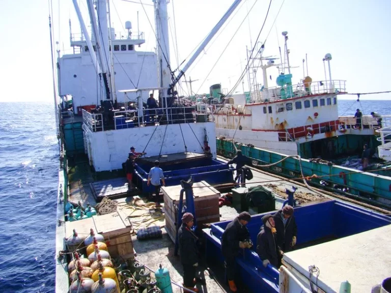 WCPFC must confront ‘hard truths’ on transshipment, electronic monitoring and observer gaps, Cook warns