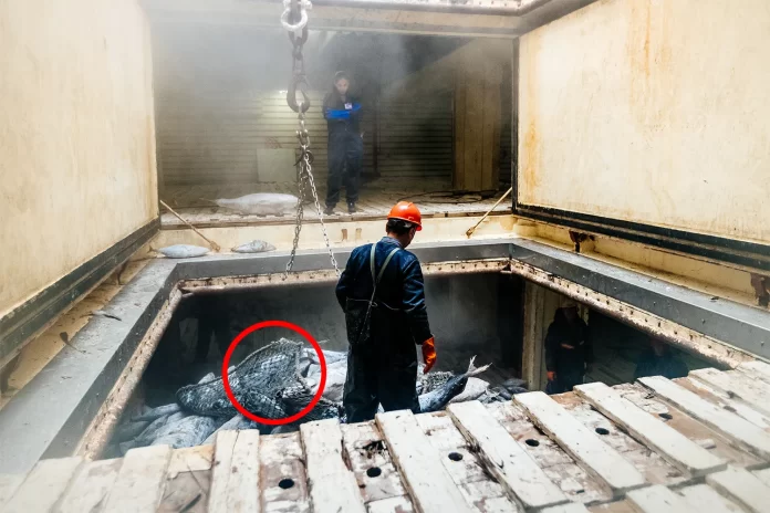 Australian neighbours on the brink of $7.5 billion disaster: ‘Going to get worse’