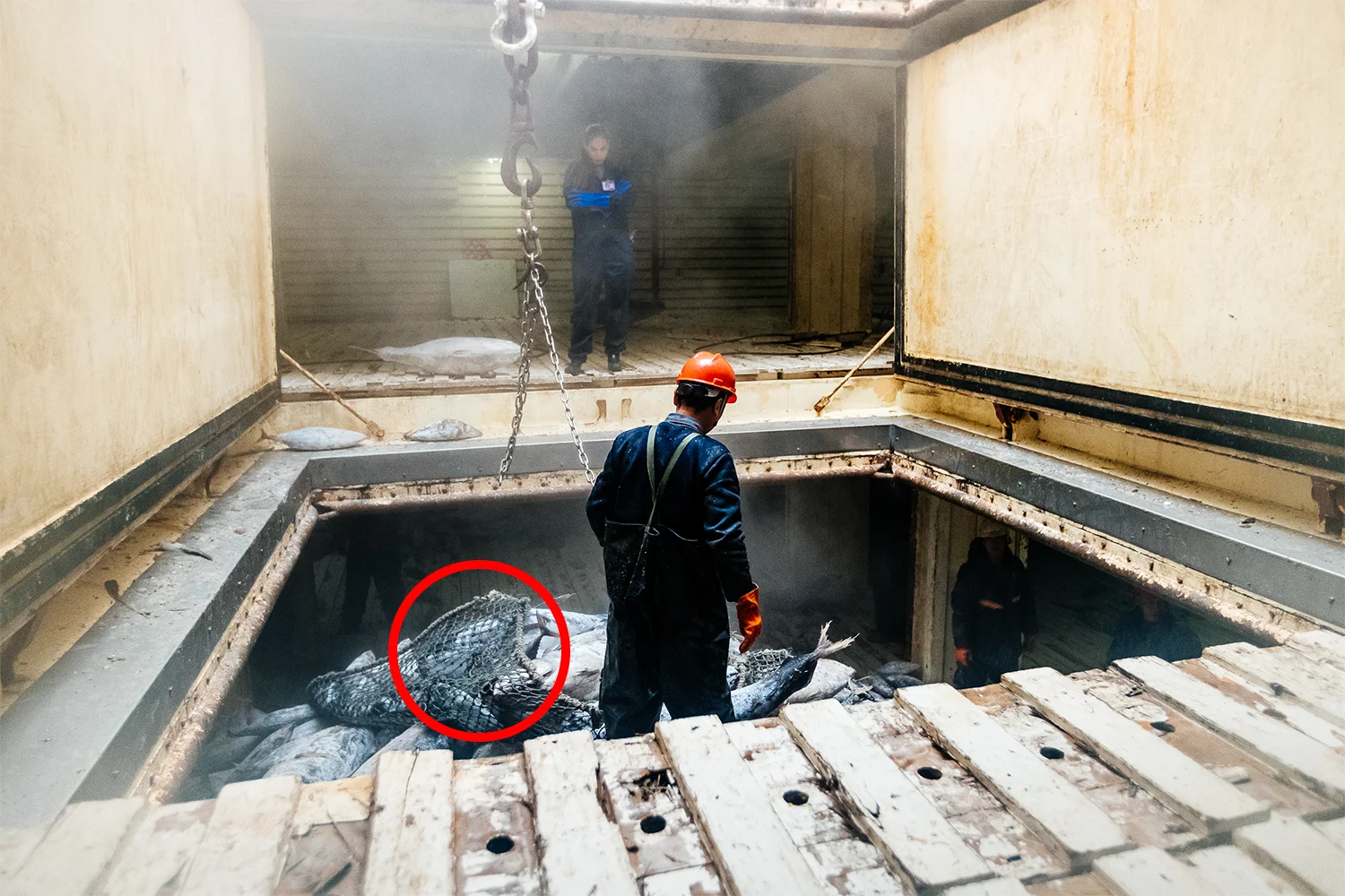 2f5a3fc0-b93e-11f0-9f6b-8be4e5e9bb3d