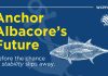 Global Tuna Alliance urges WCPFC to “anchor albacore’s future” with Pacific-led plan