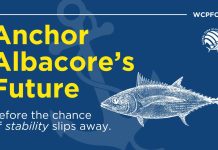 Global Tuna Alliance urges WCPFC to “anchor albacore’s future” with Pacific-led plan