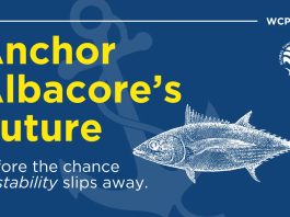 Global Tuna Alliance urges WCPFC to “anchor albacore’s future” with Pacific-led plan