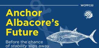 Global Tuna Alliance urges WCPFC to “anchor albacore’s future” with Pacific-led plan