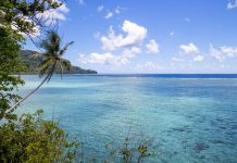 The scientist who helped win the fight to protect a sacred piece of the Pacific