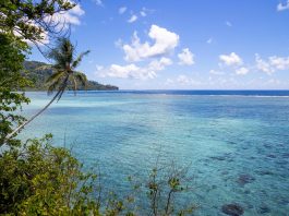 The scientist who helped win the fight to protect a sacred piece of the Pacific