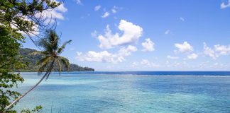 The scientist who helped win the fight to protect a sacred piece of the Pacific