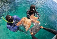 Fiji Parliament Passes Fisheries amendment bill to modernise 80-year-old law