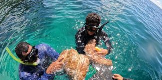 Fiji Parliament Passes Fisheries amendment bill to modernise 80-year-old law