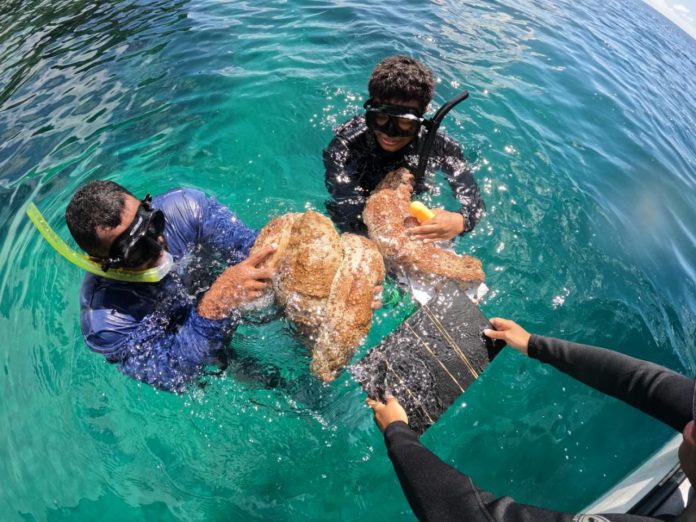 Fiji Parliament Passes Fisheries amendment bill to modernise 80-year-old law