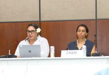 ‘Any overshoot of 1.5°C, even temporary, is catastrophic for us’