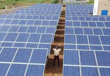 ‘When finance flows, ambition grows’: COP30’s call for action