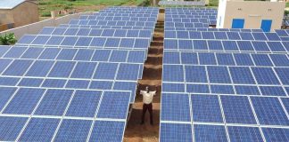 ‘When finance flows, ambition grows’: COP30’s call for action