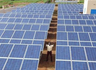 ‘When finance flows, ambition grows’: COP30’s call for action