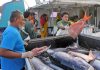 Human rights ‘non-negotiable’ as Pacific Tuna body enters era of tougher rules: WCPFC