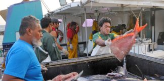 Human rights ‘non-negotiable’ as Pacific Tuna body enters era of tougher rules: WCPFC