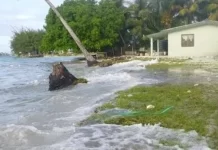 Pacific Elders Voice urge real action at COP30