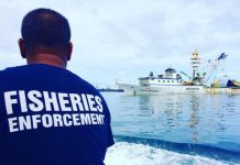 “Lack of monitoring is one of the biggest obstacles” to sustainable tuna management: Nature Conservancy warns WCPFC