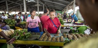 Solomon Islands to pilot a new model of reef-positive finance