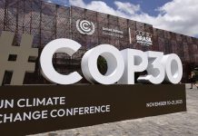 “Baku to Belém Roadmap” aims to mobilise $1.3 trillion for global climate action: UN Climate Chief