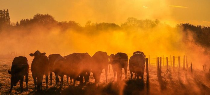 UN chief urges world leaders to drive down global warming