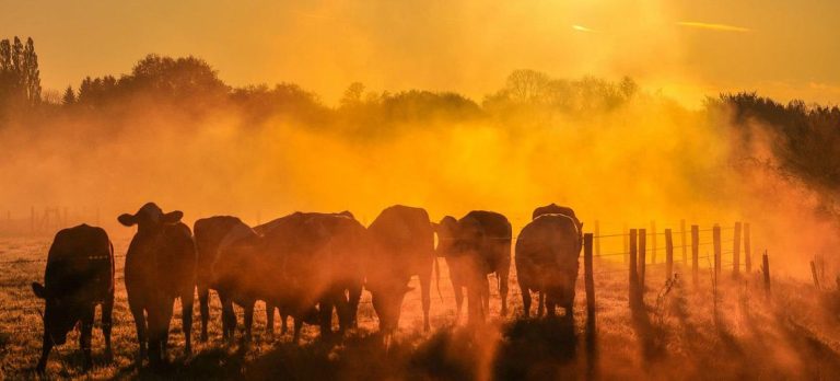 UN chief urges world leaders to drive down global warming
