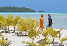 NGOs lament missed ‘COP opportunity’ for SA and climate