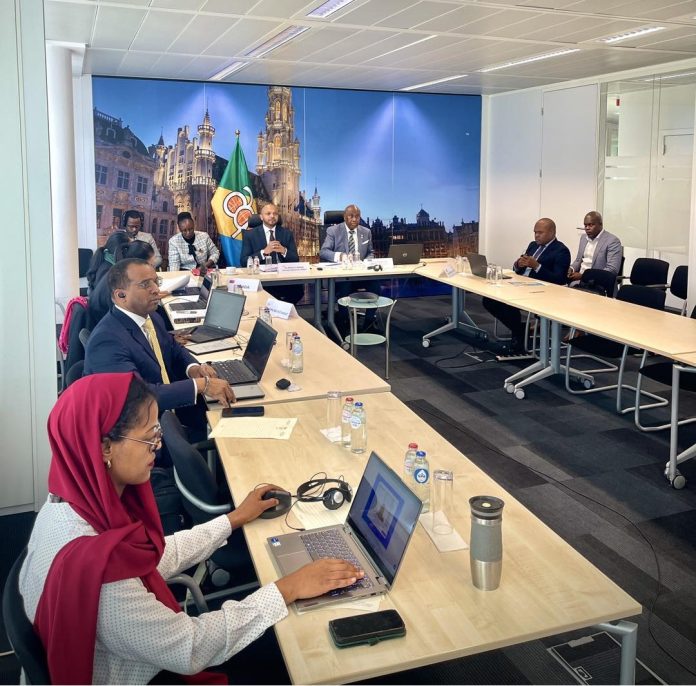 OACPS Ministers meet in Brussels to drive reform and prepare for 2026 Summit