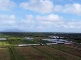 U.S threatens to cut Fiji aid over impunity for doomsday cult