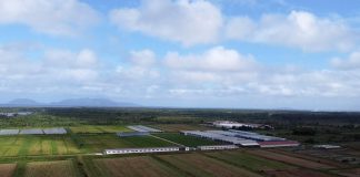 U.S threatens to cut Fiji aid over impunity for doomsday cult
