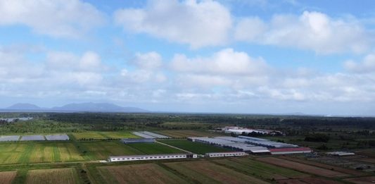 U.S threatens to cut Fiji aid over impunity for doomsday cult