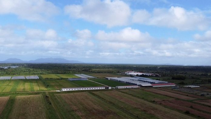 U.S threatens to cut Fiji aid over impunity for doomsday cult