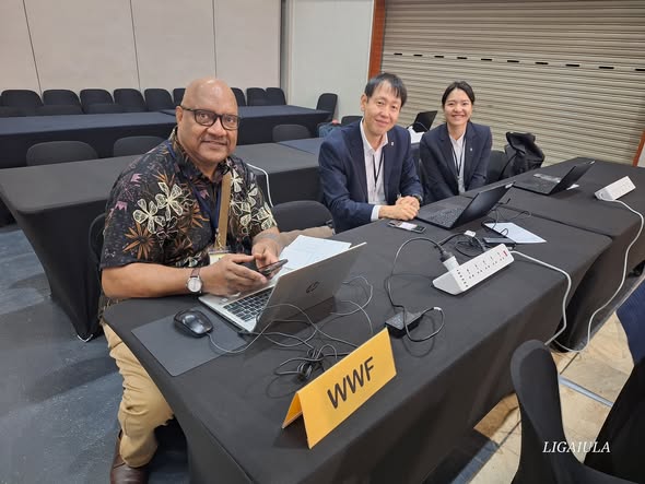 Observer failure, weak monitoring and stalled reforms are putting Pacific Tuna at risk: WWF warns WCPF