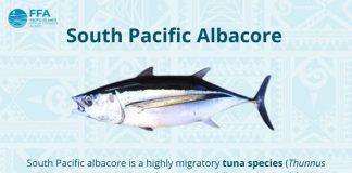 WCPFC Executive Director warns albacore decision cannot slip again