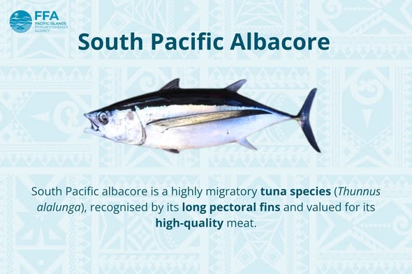 WCPFC Executive Director warns albacore decision cannot slip again